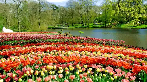 Explore Amsterdam